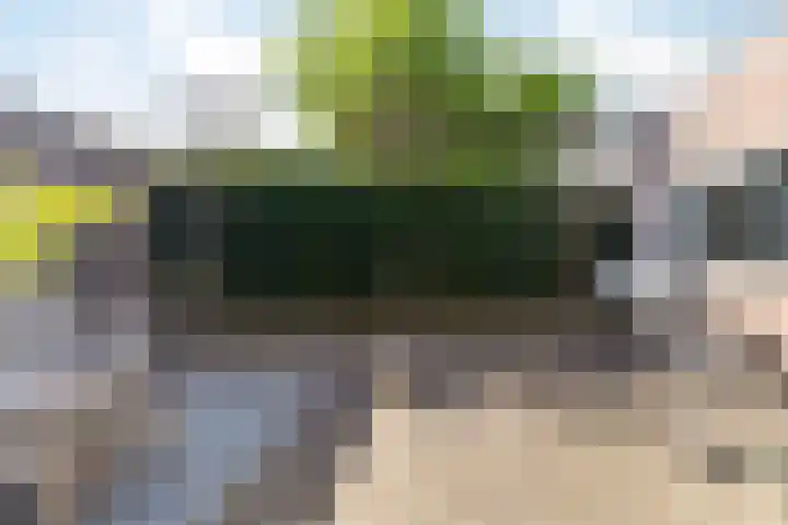 Prins Hendrikstraat 35 Drunen thumbnail 24