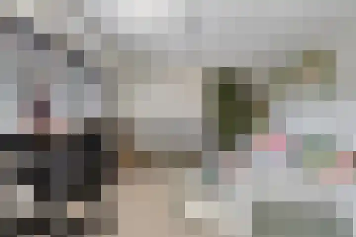 Prins Hendrikstraat 35 Drunen thumbnail 27