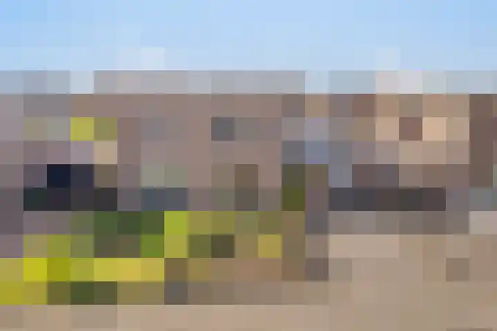 Prins Hendrikstraat 35 Drunen thumbnail 33