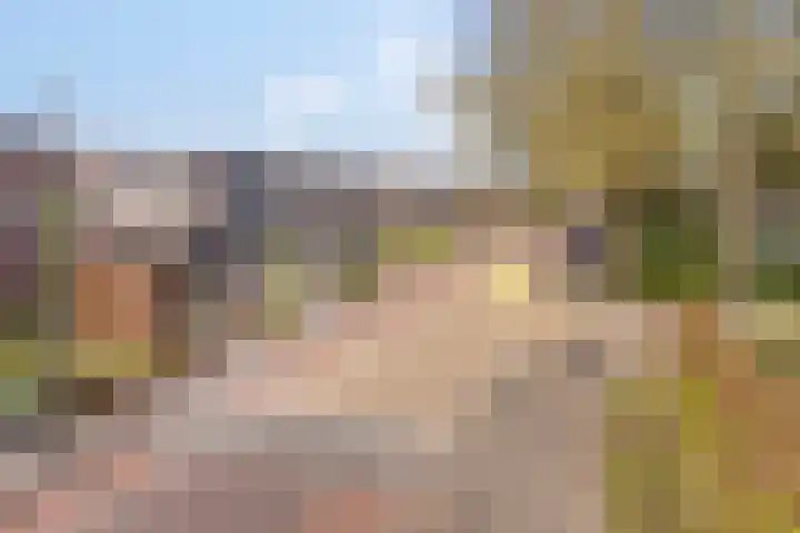 Prins Hendrikstraat 35 Drunen thumbnail 36