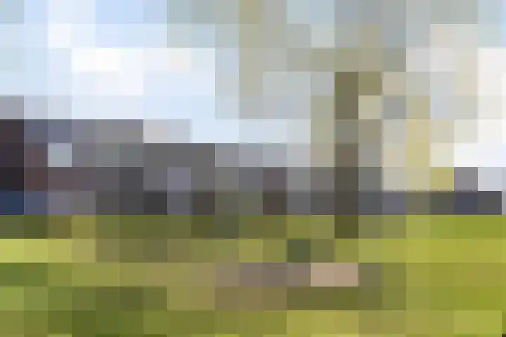 Prins Hendrikstraat 35 Drunen thumbnail 37