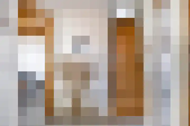 Prins Hendrikstraat 35 Drunen thumbnail 6