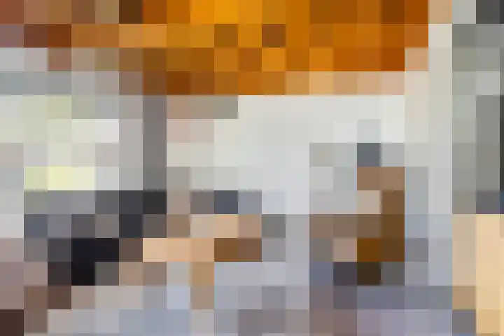 Prins Hendrikstraat 35 Drunen thumbnail 7