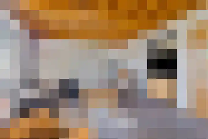 Prins Hendrikstraat 35 Drunen thumbnail 8