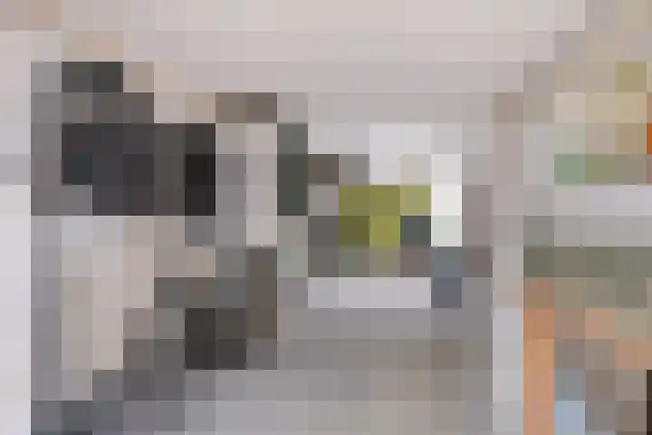 Prins Hendrikstraat 35 Ridderkerk thumbnail 27