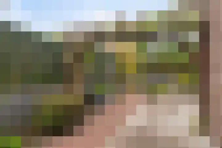 Prins Hendrikstraat 35 Ridderkerk thumbnail 4