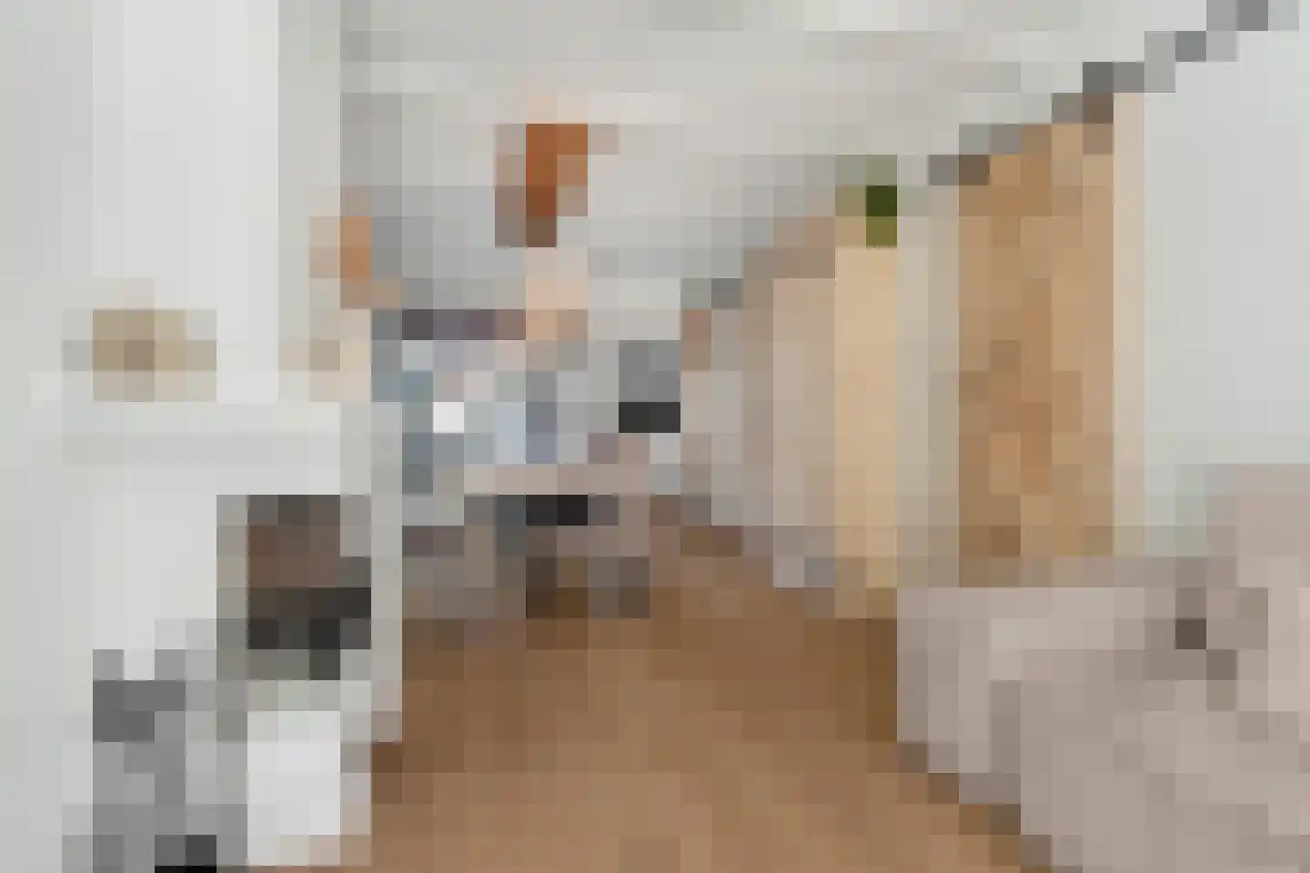 Prins Hendrikstraat 35 Voorburg thumbnail 13