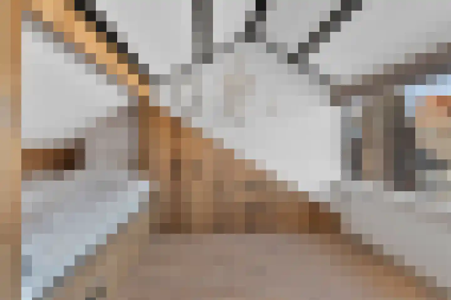 Prins Hendrikstraat 35 Voorburg thumbnail 38