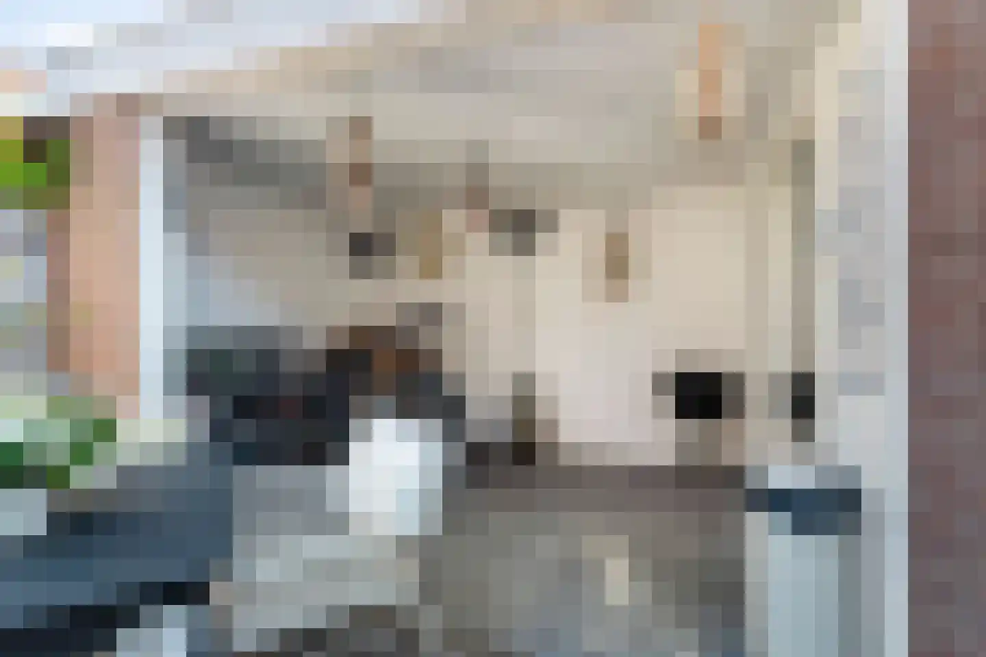 Prins Hendrikstraat 35 Voorburg thumbnail 51