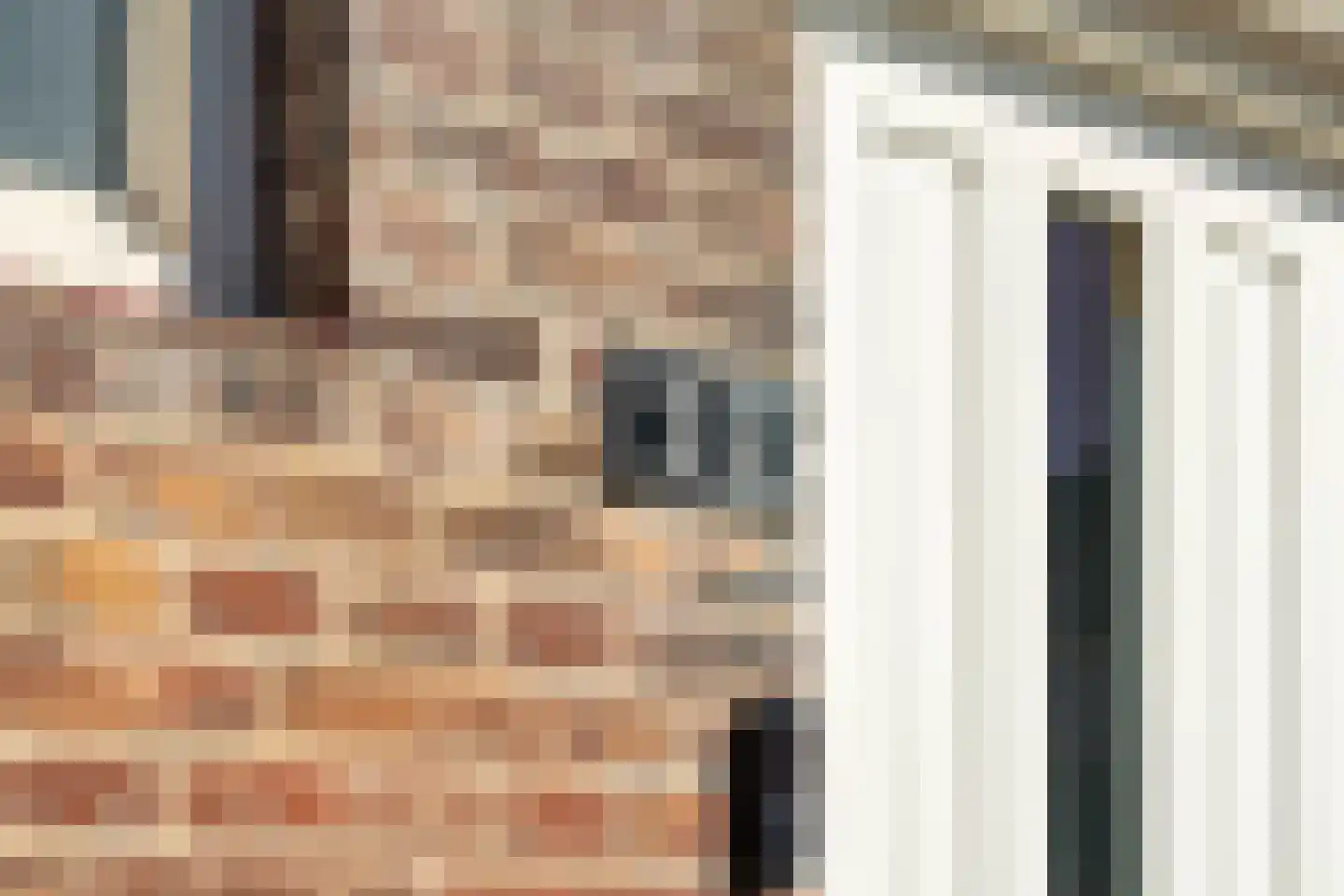 Prins Hendrikstraat 35 Voorburg thumbnail 9