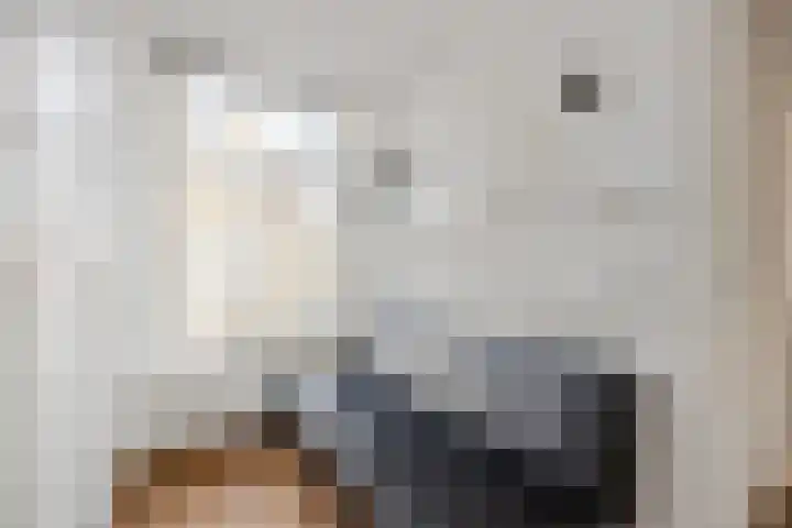 Prins Hendrikstraat 36 Breda thumbnail 38