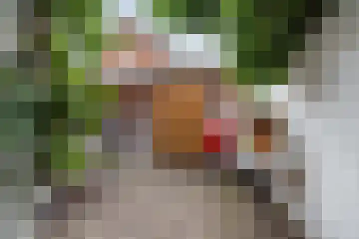 Prins Hendrikstraat 36 Breda thumbnail 41