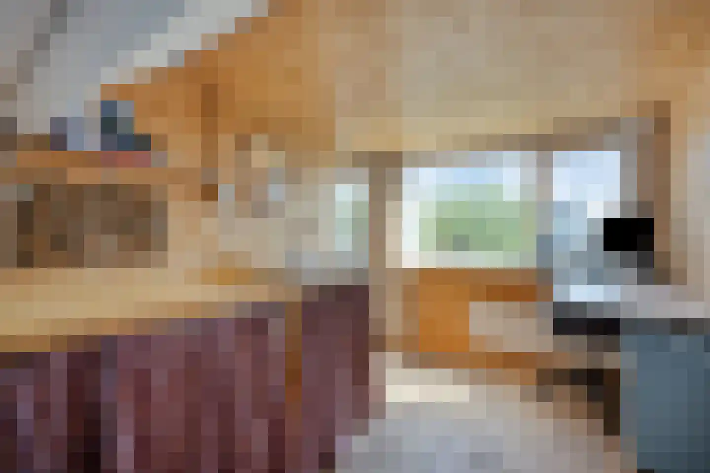 Prins Hendrikstraat 36 Castricum thumbnail 29