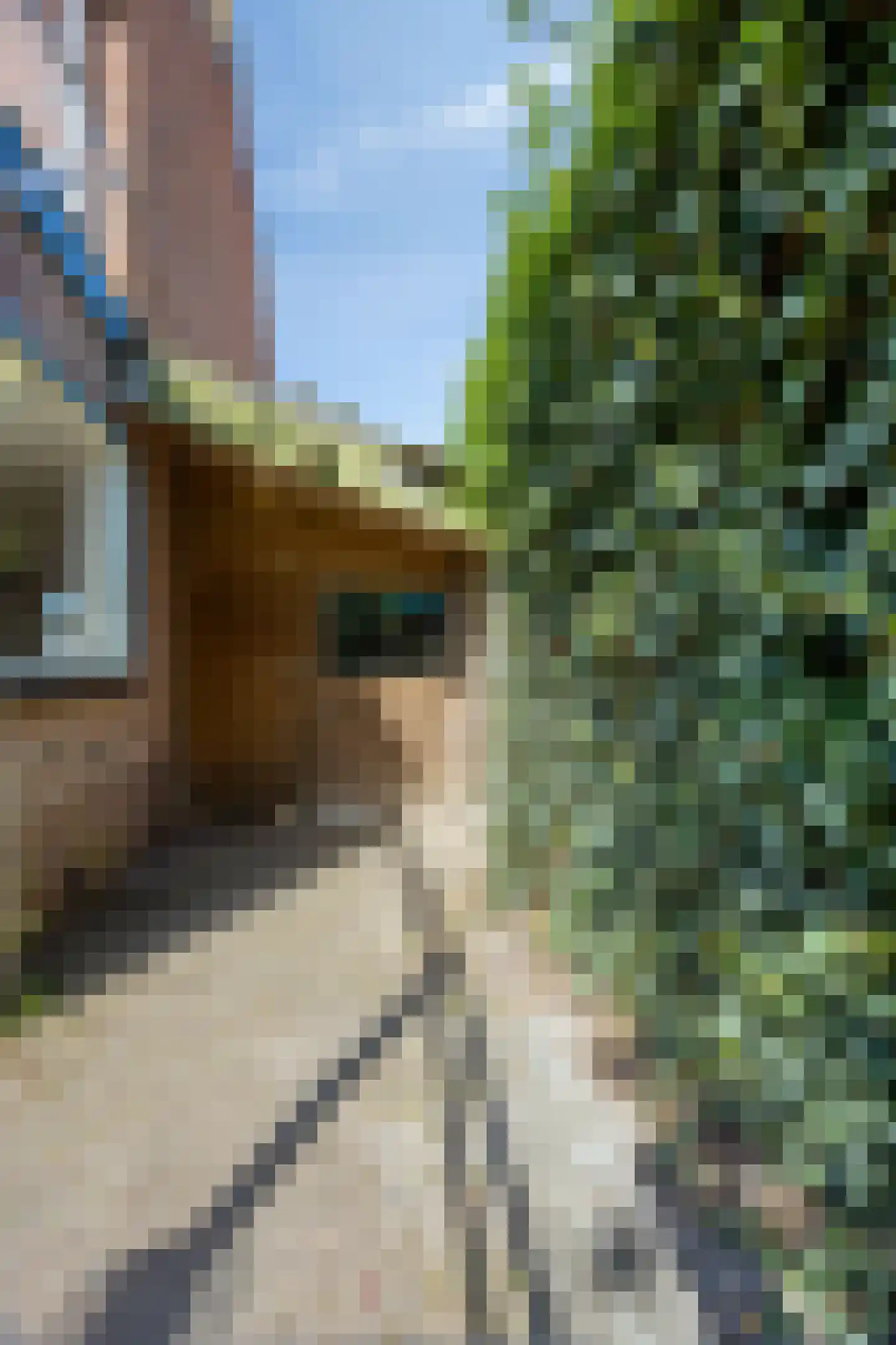 Prins Hendrikstraat 36 Castricum thumbnail 34