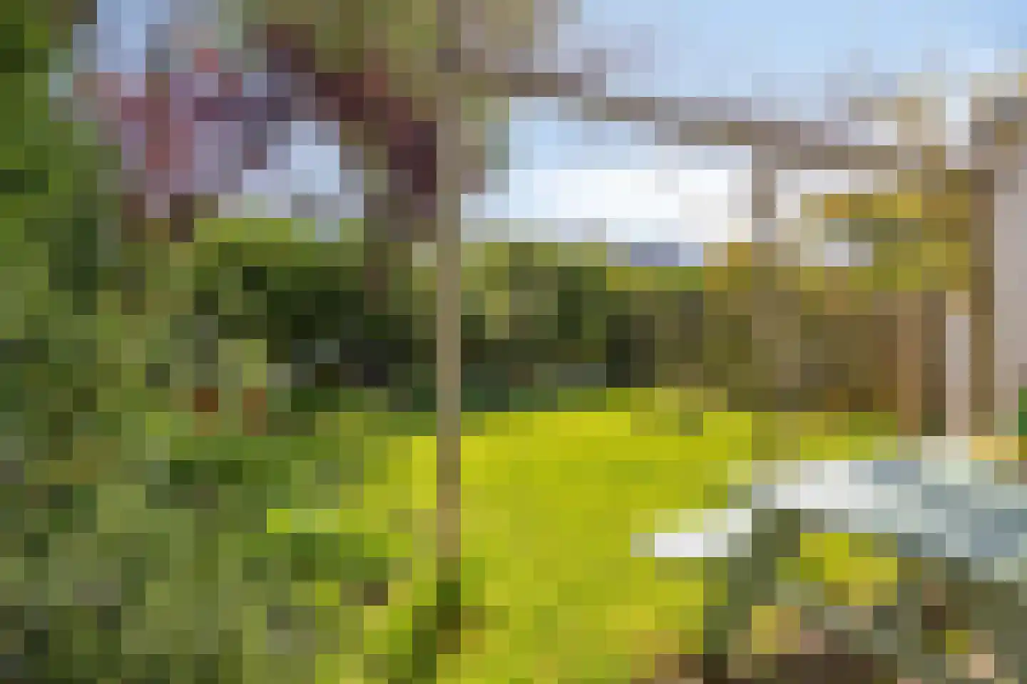 Prins Hendrikstraat 36 Castricum thumbnail 4