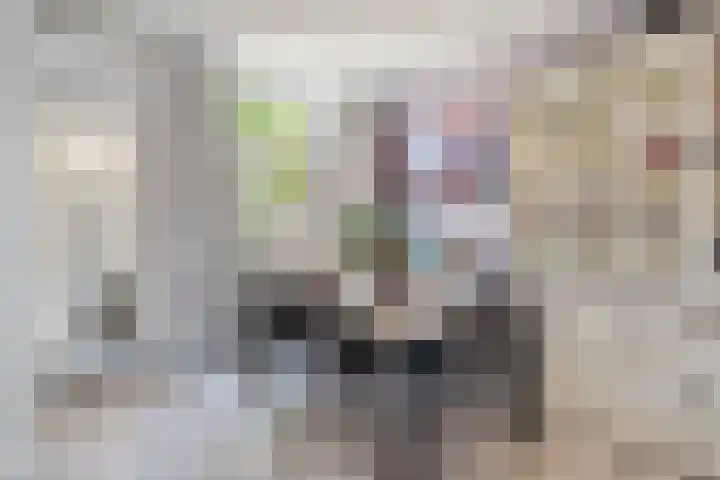 Prins Hendrikstraat 37 Vlaardingen thumbnail 4