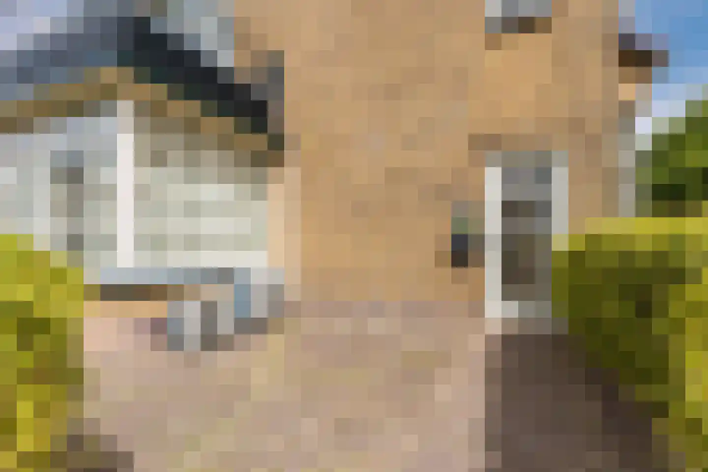 Prins Hendrikstraat 39 Bodegraven thumbnail 10