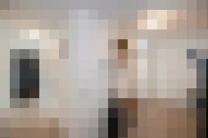 Prins Hendrikstraat 4 A Alphen aan den Rijn thumbnail 17