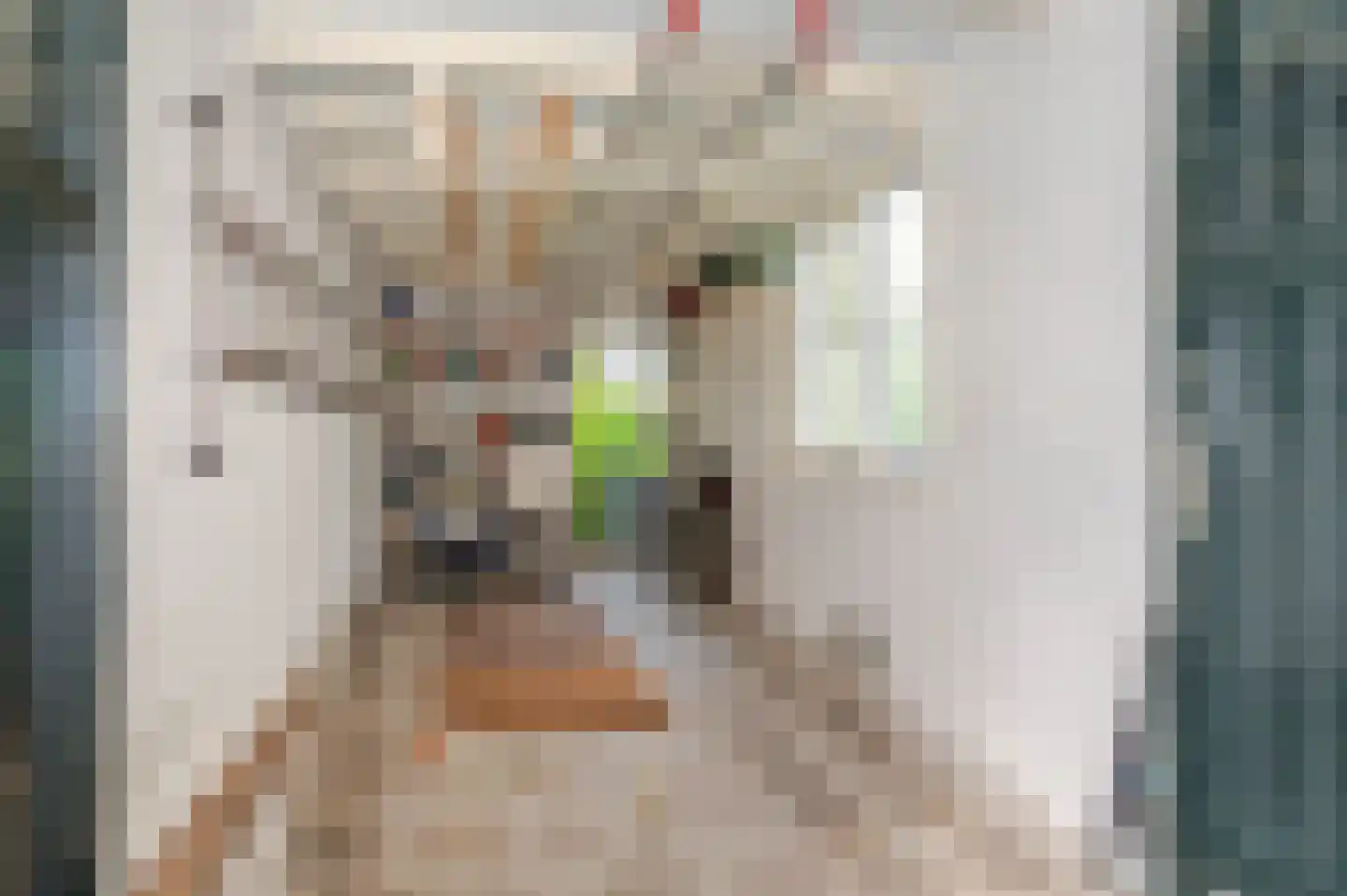 Prins Hendrikstraat 4 Den Haag thumbnail 20