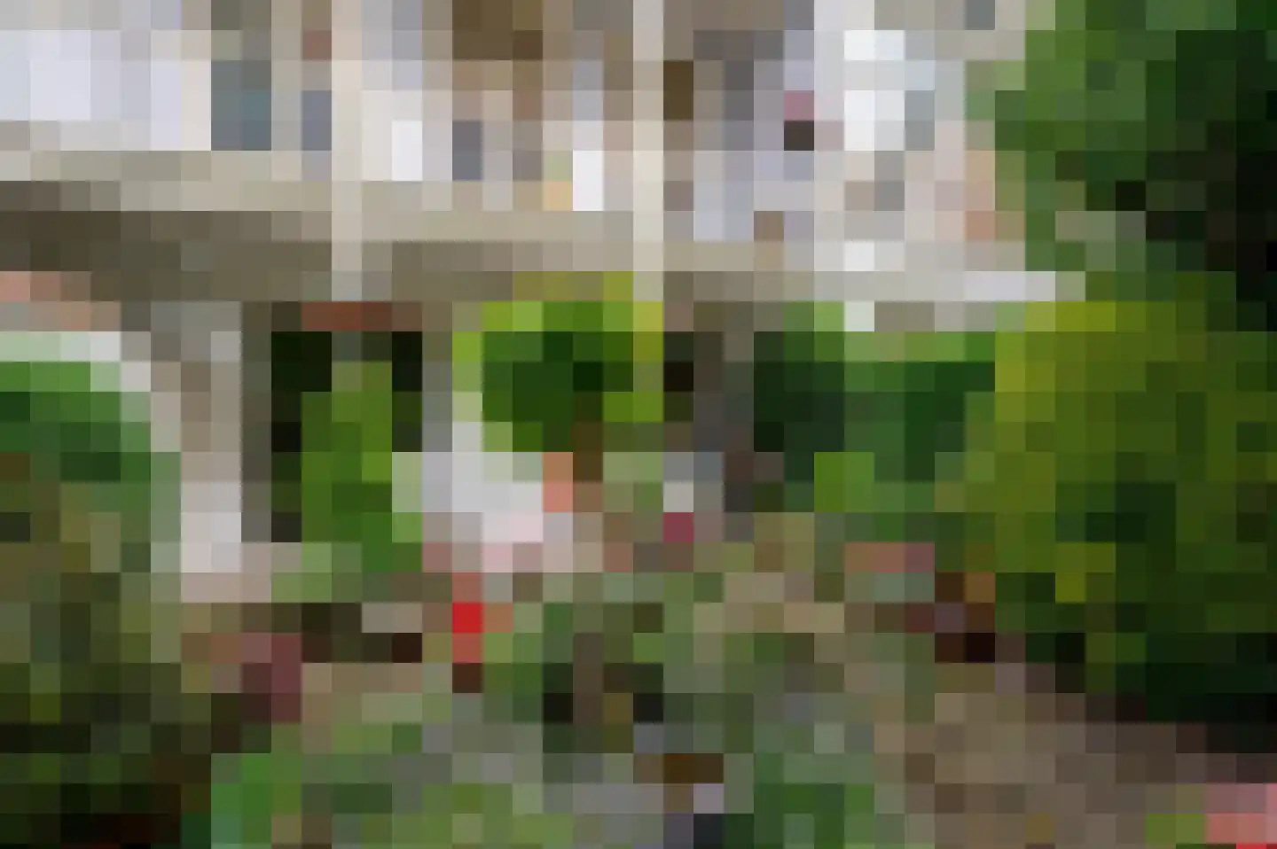 Prins Hendrikstraat 4 Den Haag thumbnail 27