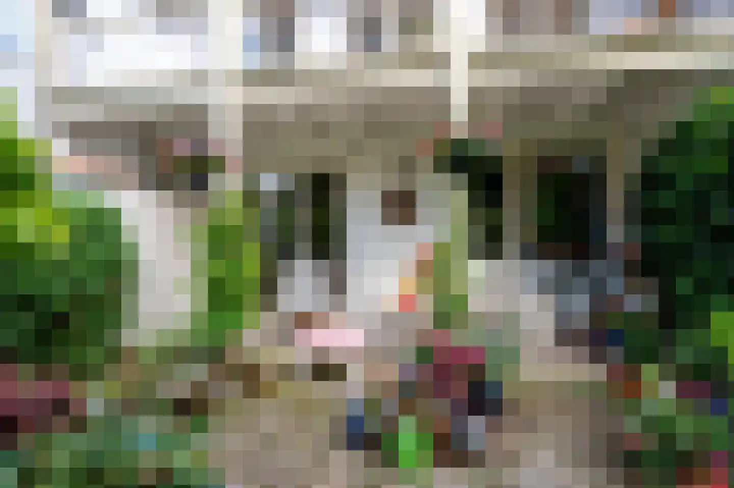 Prins Hendrikstraat 4 Den Haag thumbnail 28