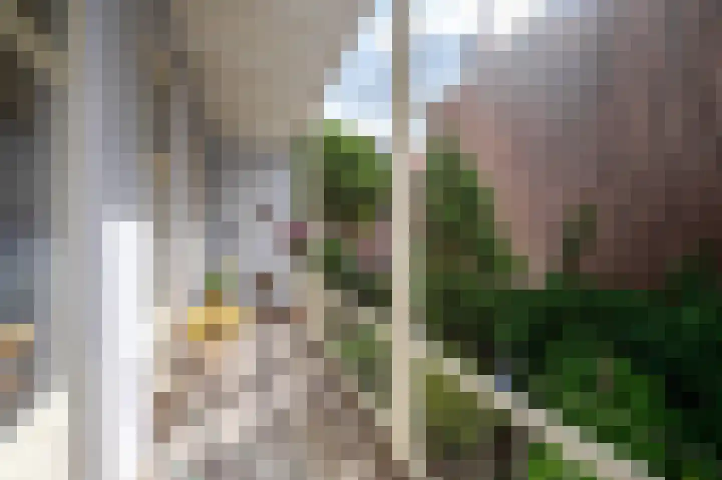 Prins Hendrikstraat 4 Den Haag thumbnail 40