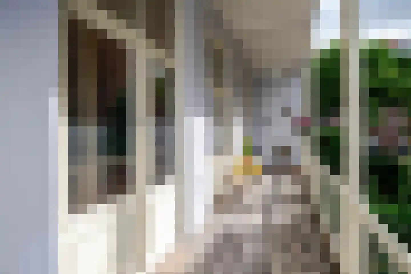 Prins Hendrikstraat 4 Den Haag thumbnail 41