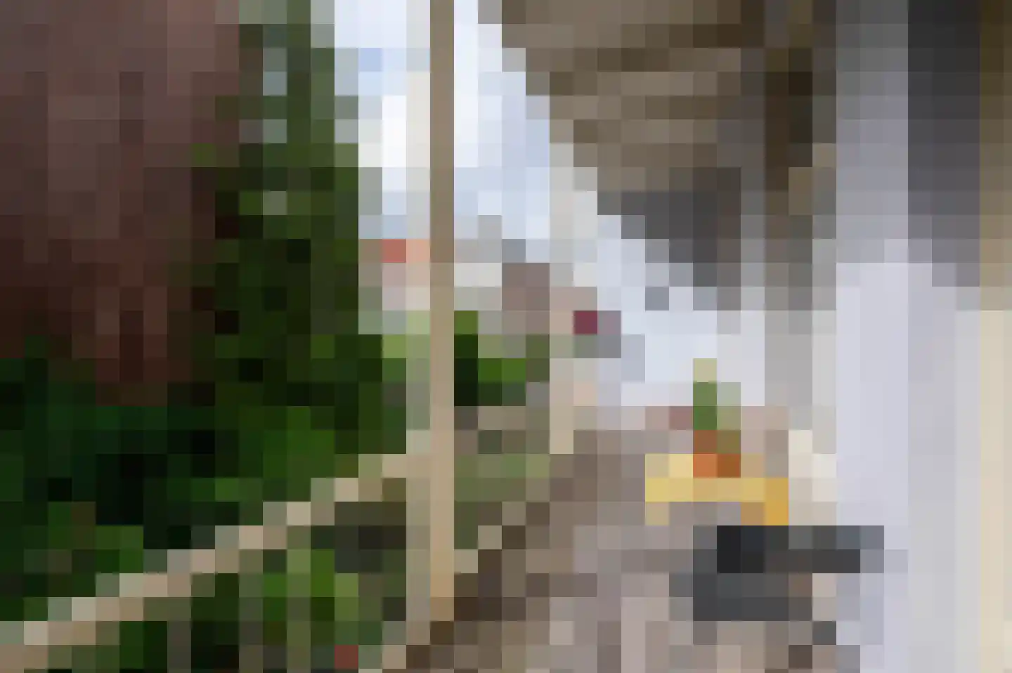Prins Hendrikstraat 4 Den Haag thumbnail 42