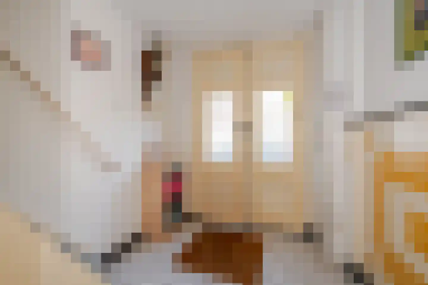 Prins Hendrikstraat 4 Den Haag thumbnail 7