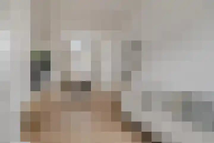 Prins Hendrikstraat 4 Leiden thumbnail 4