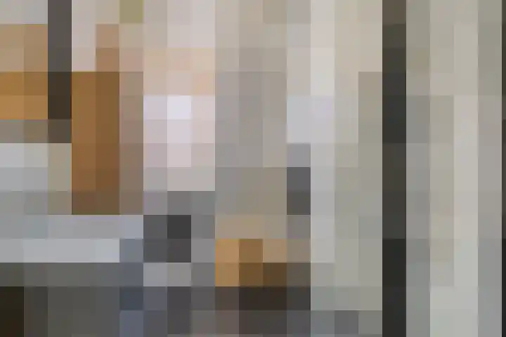 Prins Hendrikstraat 4 Pijnacker thumbnail 17