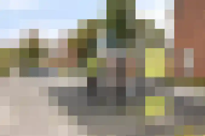 Prins Hendrikstraat 4 Pijnacker thumbnail 24