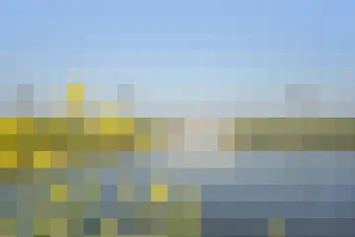 Prins Hendrikstraat 4 Pijnacker thumbnail 27