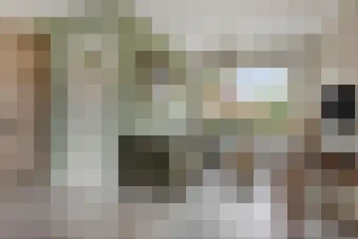 Prins Hendrikstraat 4 Pijnacker thumbnail 7