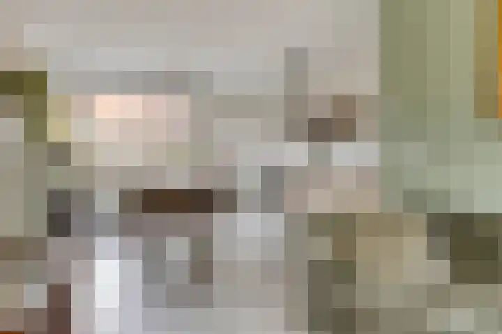 Prins Hendrikstraat 4 Pijnacker thumbnail 8