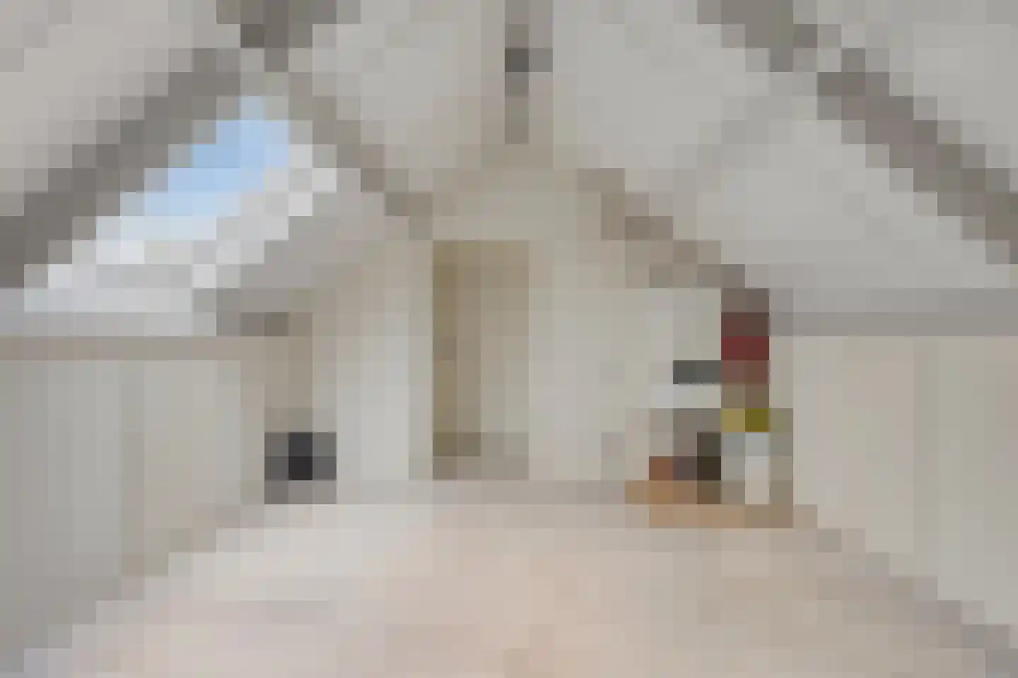 Prins Hendrikstraat 4 's-Heerenhoek thumbnail 27