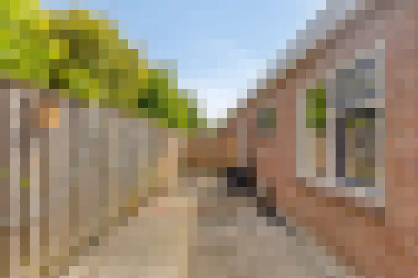 Prins Hendrikstraat 4 's-Heerenhoek thumbnail 30