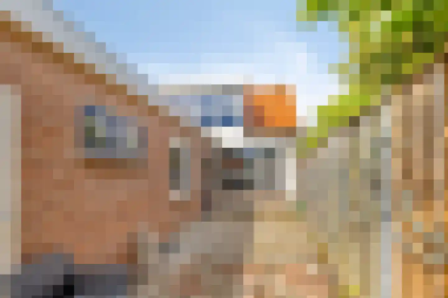 Prins Hendrikstraat 4 's-Heerenhoek thumbnail 31