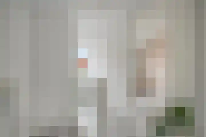 Prins Hendrikstraat 40 Axel thumbnail 18