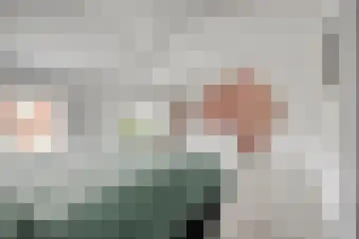 Prins Hendrikstraat 40 Axel thumbnail 20