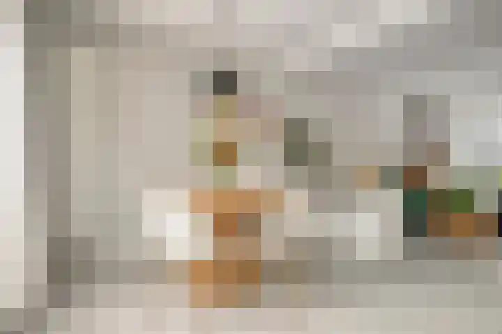 Prins Hendrikstraat 40 Axel thumbnail 8