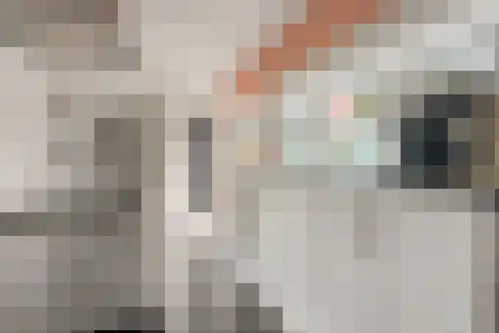 Prins Hendrikstraat 40 Axel thumbnail 9