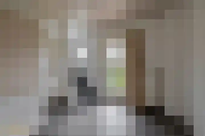 Prins Hendrikstraat 40 Belfeld thumbnail 11