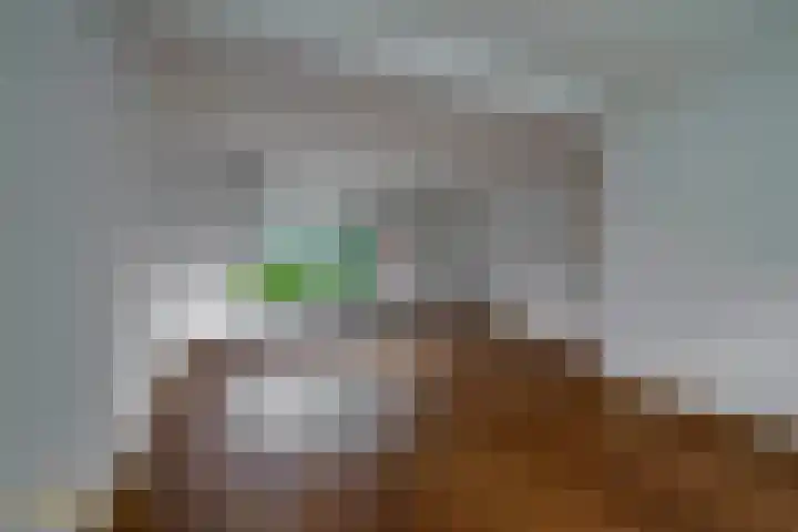 Prins Hendrikstraat 40 Belfeld thumbnail 4