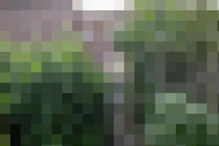 Prins Hendrikstraat 41 Echt thumbnail 21