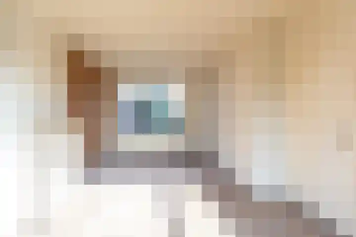 Prins Hendrikstraat 41 Echt thumbnail 5