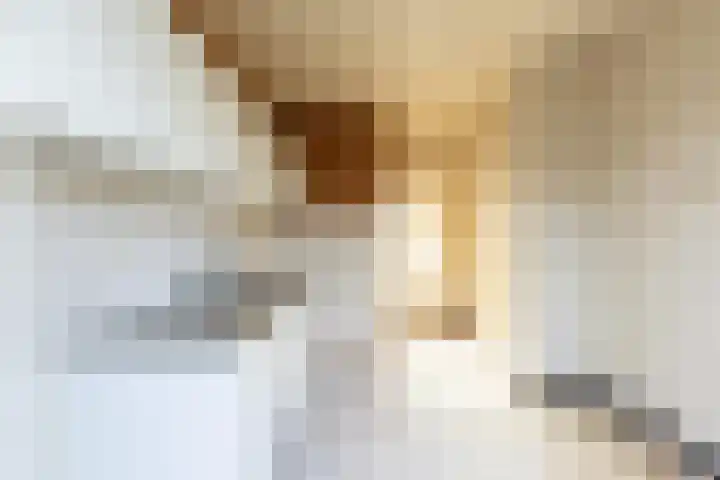 Prins Hendrikstraat 41 Echt thumbnail 6