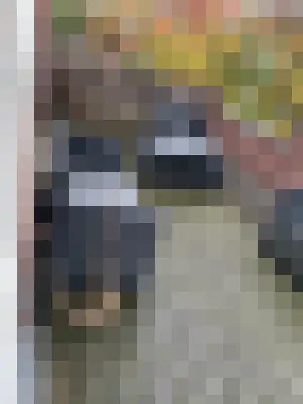 Prins Hendrikstraat 41 Eindhoven thumbnail 4