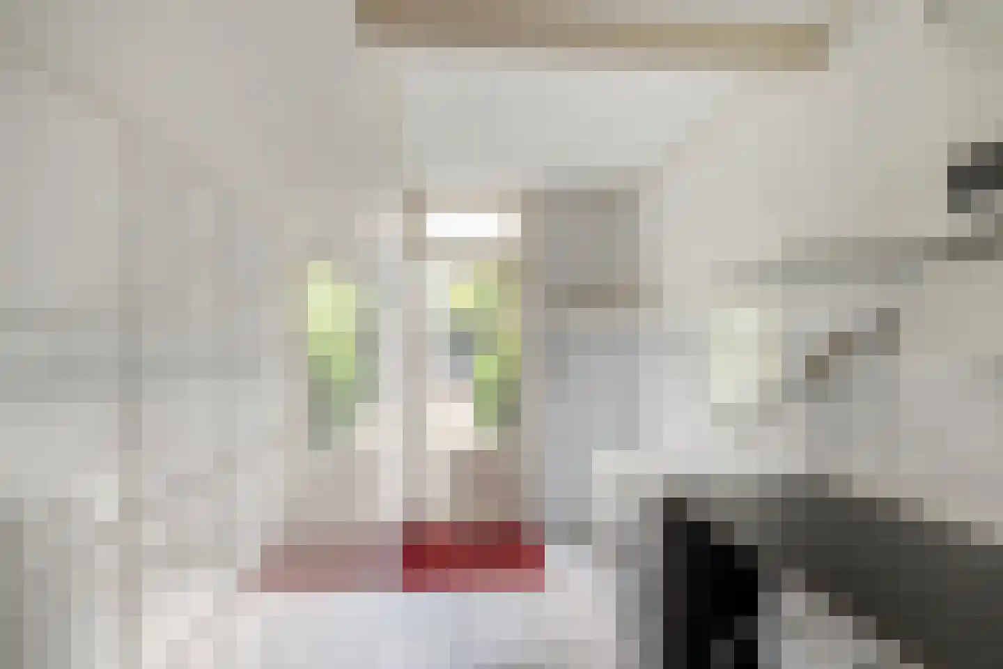 Prins Hendrikstraat 42 Naaldwijk thumbnail 11