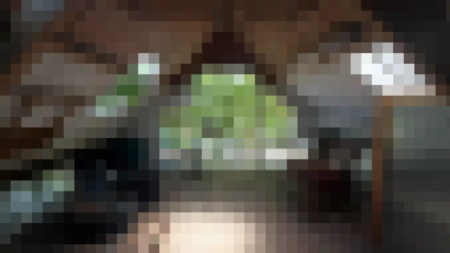 Prins Hendrikstraat 42 Naaldwijk thumbnail 16